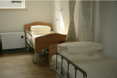 <b>到处可见、照特色工艺品取绿植</b>